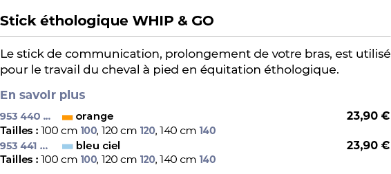  ﻿Stick thologique WHIP & GO﻿ ￼ ﻿Le stick de communication, prolongement de votre bras, est utilis  pour le travail ...