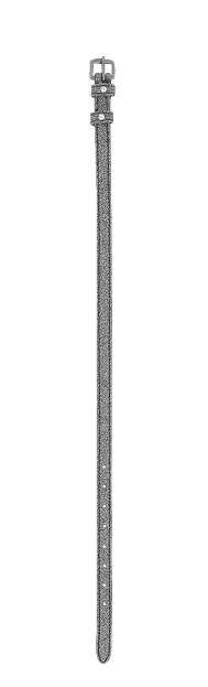 Rectangle