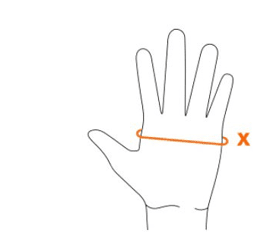 Rectangle