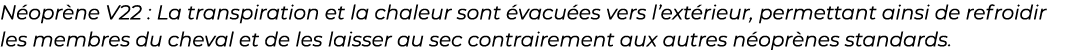﻿N opr ne V22 : La transpiration et la chaleur sont vacu es vers l’ext rieur, permettant ainsi de refroidir les memb...