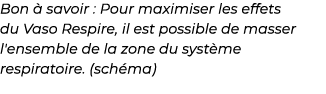 ﻿Bon  savoir : Pour maximiser les effets du Vaso Respire, il est possible de masser l'ensemble de la zone du syst me...