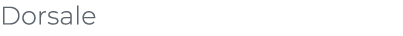 ﻿Dorsale﻿