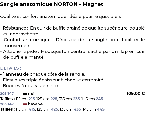 ﻿Sangle anatomique NORTON Magnet﻿ ￼ ﻿Qualit et confort anatomique, id ale pour le quotidien. R sistance : En cuir de...