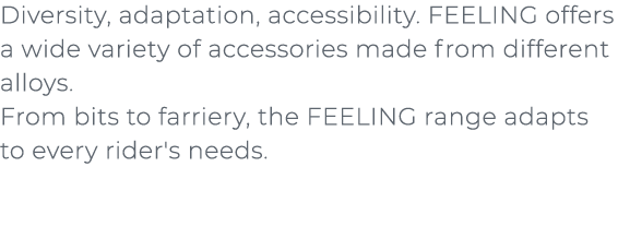 ﻿Diversity, adaptation, accessibility. FEELING offers a wide variety of accessories made from different alloys. From ...