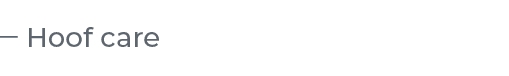 ￼
