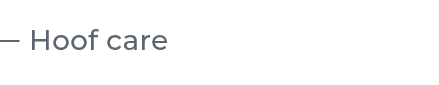 ￼