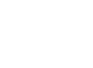 04. AROUND THE HORSE