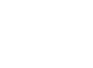 02. cheval