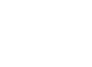 03. AROUND THE HORSE