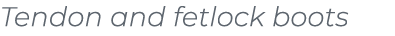 Tendon and fetlock boots