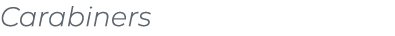 Carabiners﻿