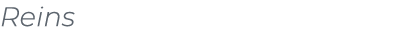 Reins﻿