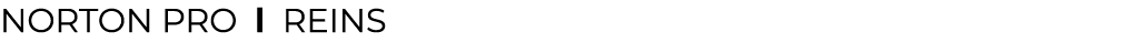 NORTON pro l ﻿Reins﻿