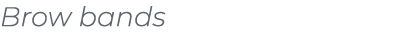 Brow bands﻿