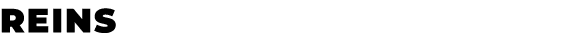 Reins﻿