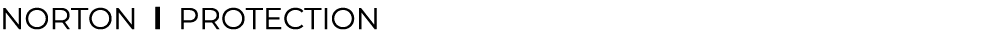 NORTON l ﻿Protection﻿