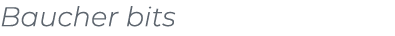Baucher bits
