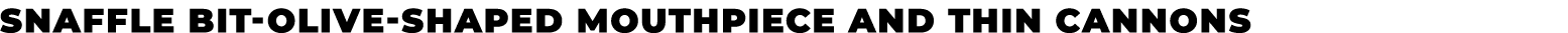 snaffle bit olive shaped mouthpiece and thin cannons﻿