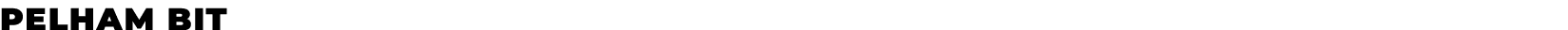 Pelham bit﻿
